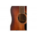 FENDER PD-220E DREADNOUGHT ALL MAHOGANY WITH CASE AGED COGNAC BURST Гітара електроакустична