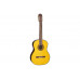 TAKAMINE GC5 NAT Гітара класична