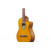 Гітара класична IBANEZ GA3ECE-OAM