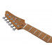 Електрогітара IBANEZ AZ2204 PW