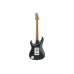 Електрогітара IBANEZ AZ2204N VGF