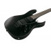 Електрогітара IBANEZ RGRB620 BKF