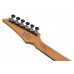 Електрогітара IBANEZ RGD61 BAM