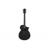 Гітара електроакустична IBANEZ AEWC621 BOT