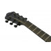 Гітара електроакустична IBANEZ AEWC621 BOT