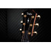 Гітара електроакустична TAYLOR GUITARS 314ce LTD 50TH ANNIVERSARY SHADED EDGE BURST