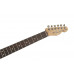 Електрогітара FENDER CUSTOM SHOP ANDY MOONEY TELECASTER