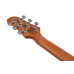 Электрогитара IBANEZ ICHI00-VWH