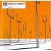 Вінілова платівка LP2 Muse: Origin Of Symmetry