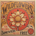 Tom Petty – Wildflowers & All The Rest (2LP, Album, Reissue, Remastered, Vinyl)