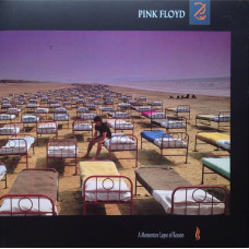 Вінілова платівка Pink Floyd – A Momentary Lapse Of Reason (Vinyl)