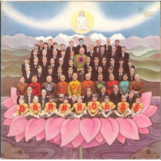 Вінілова платівка George Harrison – Dark Horse (Vinyl, Album)