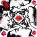 Red Hot Chili Peppers – Blood Sugar Sex Magik (Vinyl)
