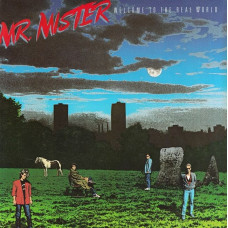 Вінілова платівка Mr. Mister – Welcome To The Real World (Vinyl)