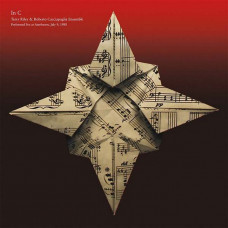 Вінілова платівка Terry Riley & Roberto Cacciapaglia Ensemble – In C - Performed Live At Aterforum, July 9, 1988 (2xLP)
