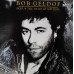 Bob Geldof – Deep In The Heart Of Nowhere (Vinyl, Album)