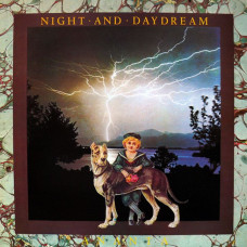 Вінілова платівка Ananta – Night And Daydream (Vinyl)