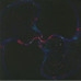 The Orb – No Sounds Are Out Of Bounds (Vinyl)