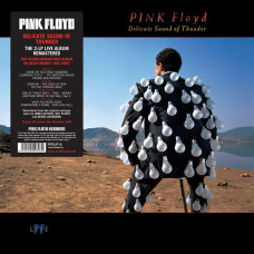 Вінілова платівка Pink Floyd – Delicate Sound Of Thunder (2LP, Album, 180 Gram, Vinyl)