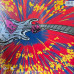 Joe Satriani – Surfing With The Alien (Vinyl)