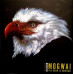 Вінілова платівка Mogwai – The Hawk Is Howling (Vinyl)