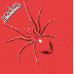 Spiders From Mars – Spiders From Mars (Vinyl)
