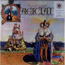 Вінілова платівка Andrew Leigh – Magician (Vinyl)