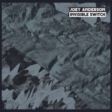 Вінілова платівка Joey Anderson – Invisible Switch (33 RPM, Limited Edition Vinyl)