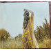 First Aid Kit – The Lion's Roar (Vinyl)