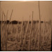 Вінілова платівка Recondite – On Acid (Vinyl)