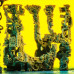 King Gizzard And The Lizard Wizard – L.W. (Vinyl)