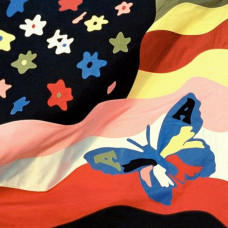 Вінілова платівка The Avalanches – Wildflower (Vinyl + CD)