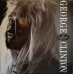 George Clinton – The Cinderella Theory (Vinyl)