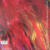 George Clinton – The Cinderella Theory (Vinyl)
