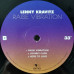 Lenny Kravitz - Raise Vibration (2LP, Album, Vinyl)