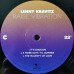 Lenny Kravitz - Raise Vibration (2LP, Album, Vinyl)