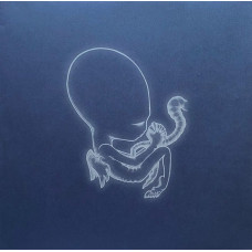 Вінілова платівка Sigur Ros – Agaetis Byrjun (2LP Vinyl)