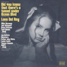 Вінілова платівка Lana Del Rey – Did You Know That There's A Tunnel Under Ocean Blvd (2LP, Stereo Vinyl)