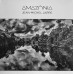 Вінілова платівка Jean-Michel Jarre – Amazonia (Vinyl)