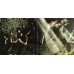 HIM – Venus Doom (CD, Album)