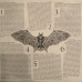 Ozzy Osbourne - Ordinary Man (LP, Album, Vinyl)