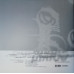 Pixies – Beneath The Eyrie (Vinyl)