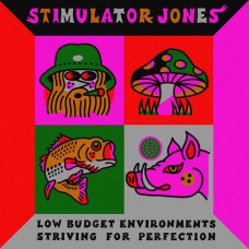 Вінілова платівка Stimulator Jones – Low Budget Environments Striving For Perfection (Vinyl)
