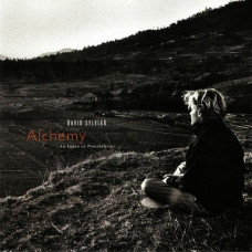 Вінілова платівка David Sylvian – Alchemy An Index Of Possibilities (LP, Album, Reissue, 180 gram, Vinyl)