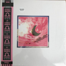 Вінілова платівка Django Django – Marble Skies (Vinyl + CD)