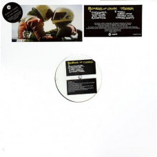 Вінілова платівка Boards Of Canada – Twoism (LP, Mini Album, White Label, Vinyl)