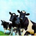 Pink Floyd - Atom Heart Mother (LP, Album, Vinyl)