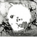 Radiohead – A Moon Shaped Pool (CD, Album, Vinyl)
