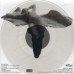 Joy Division – Love Will Tear Us Apart (12", 33 1/3 RPM, EP, Clear, Vinyl)