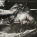 Paloma – Infinite Things (LP, Album, Vinyl)
